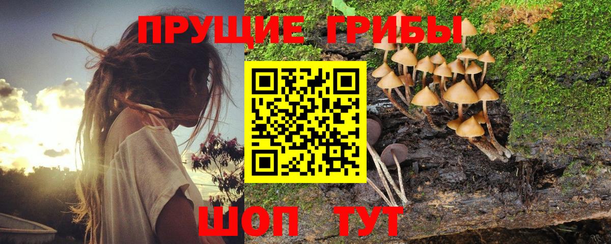 Псилоцибиновые грибы MAGIC MUSHROOMS Отрадный