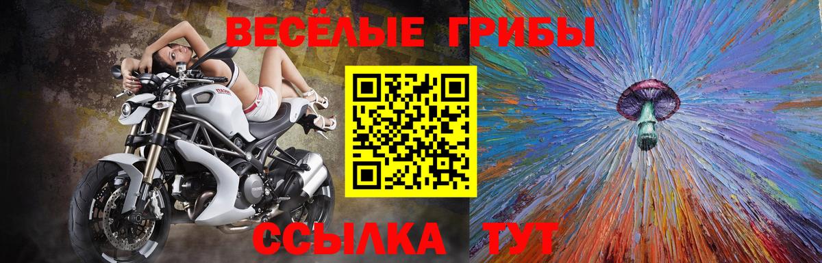 Псилоцибиновые грибы Psilocybe  Вход с VPN  Отрадный  Галлюциногенные грибы мицелий 