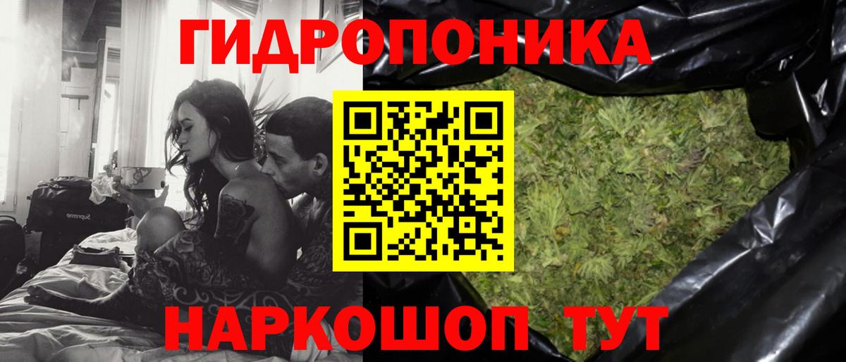 Бошки марихуана семена Отрадный